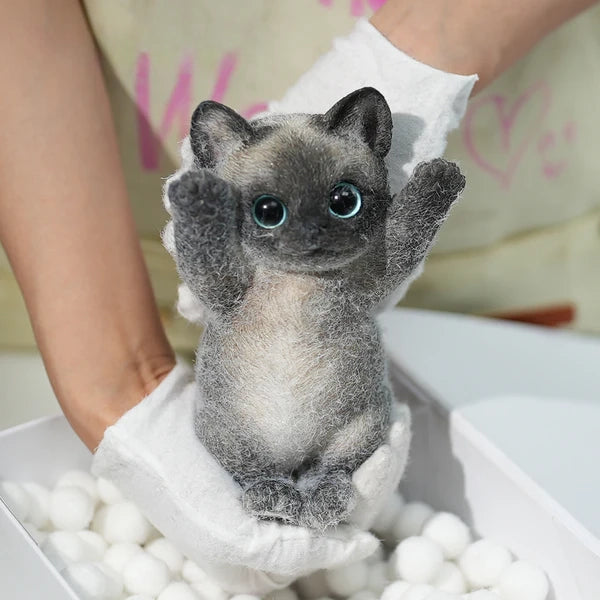 B02-Black Siamese Squishy Cat