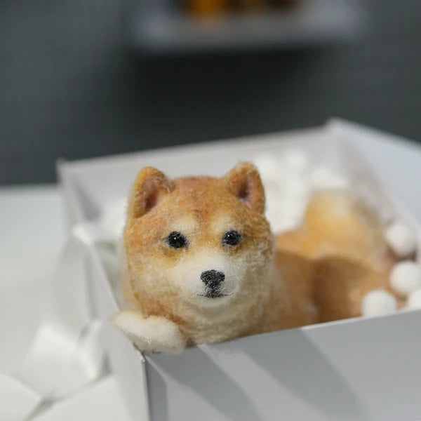 D01-Handsome Shiba Inu Squishy Dog