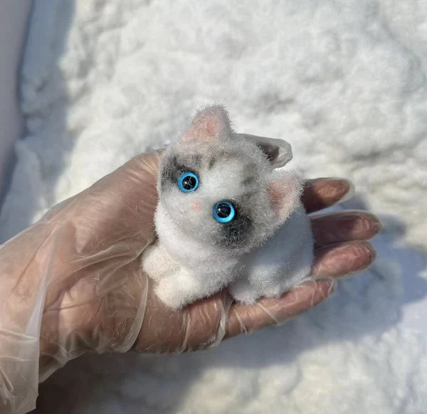 C02-Pretty Blue-eyed Ragdoll Kitten
