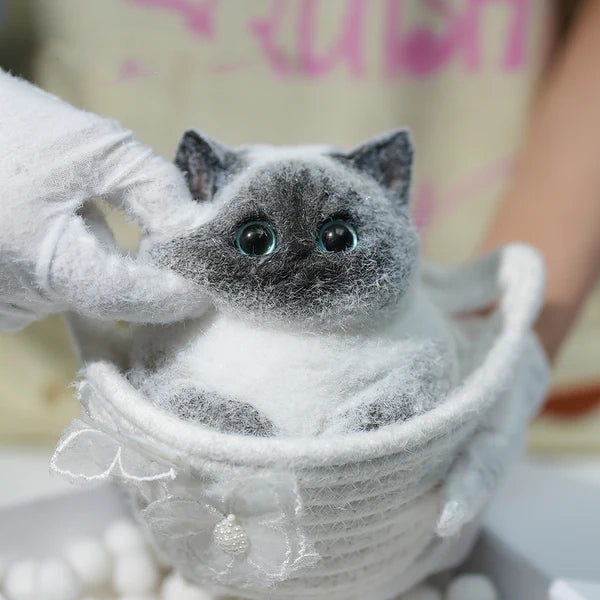 A03-Super Cute Special Siamese Chubby Squishy Kitty