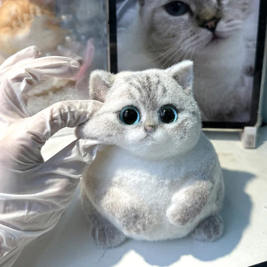 A01-Chubby British Shorthair Golden Shaded Squishy Cat