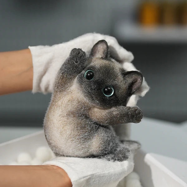 B02-Black Siamese Squishy Cat