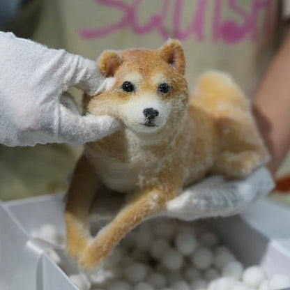 D01-Handsome Shiba Inu Squishy Dog
