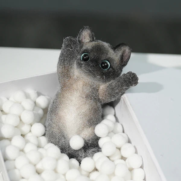 B02-Black Siamese Squishy Cat