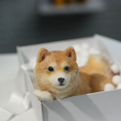 D01-Handsome Shiba Inu Squishy Dog