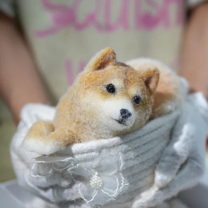 D01-Handsome Shiba Inu Squishy Dog