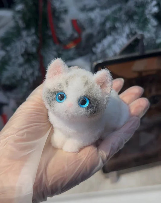 C02-Pretty Blue-eyed Ragdoll Kitten
