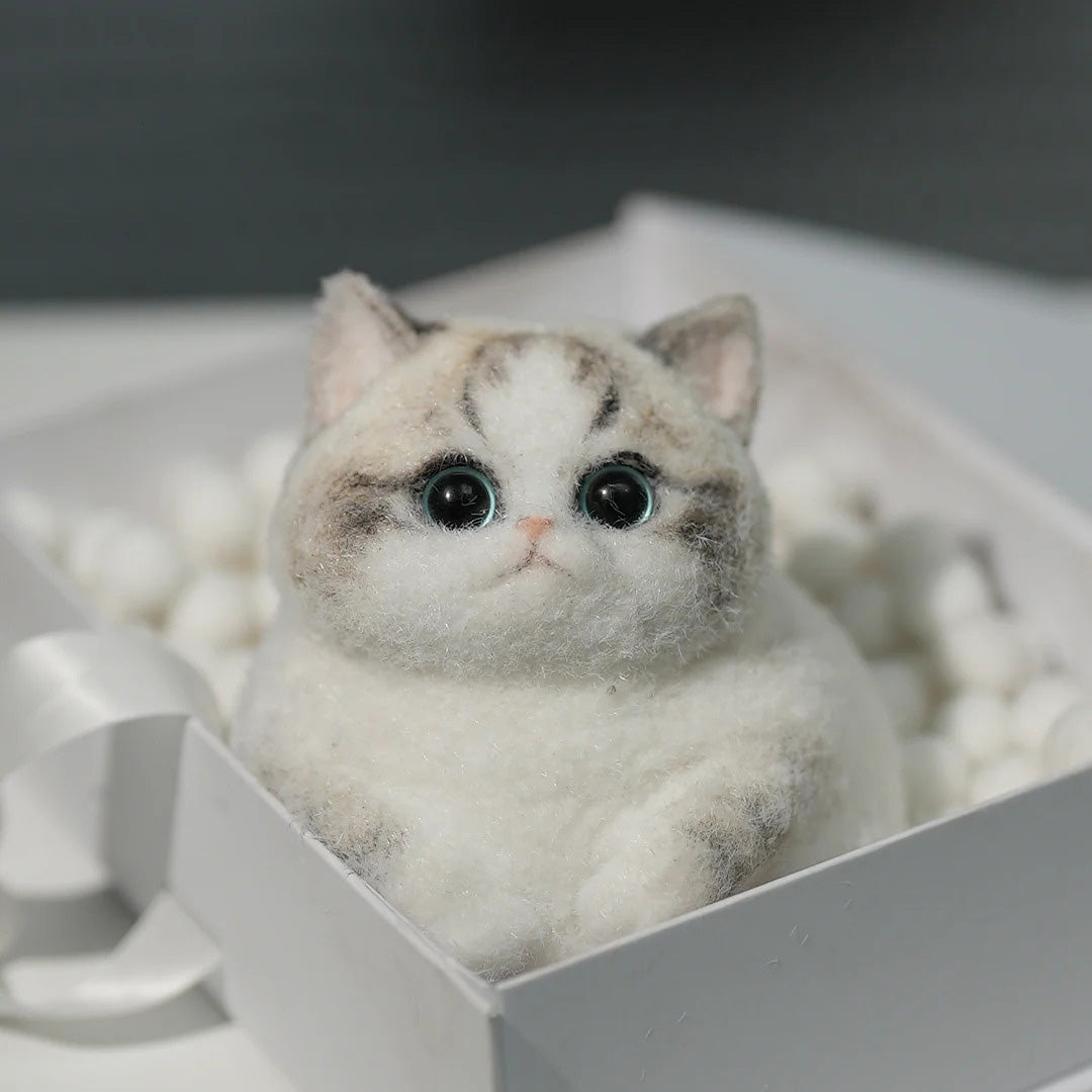 A02-Chubby Fluffy Squishy Ragdoll with Pink Nose