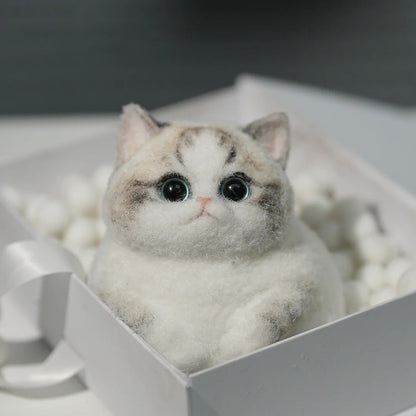A02-Chubby Fluffy Squishy Ragdoll with Pink Nose