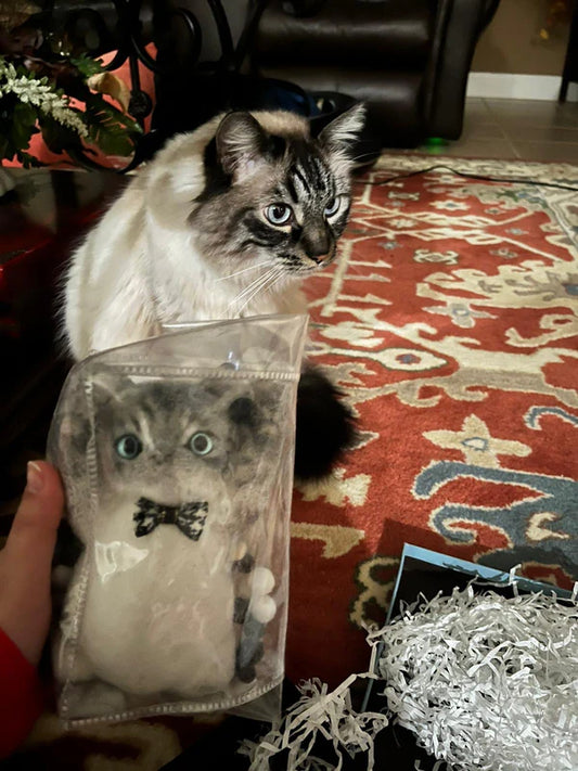 B05-Customized Lovely Slim Cat Silicone Squishy Kitty---Please contact our customer service and send us a photo.
