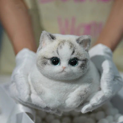 A02-Chubby Fluffy Squishy Ragdoll with Pink Nose