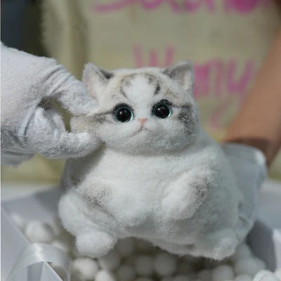 A02-Chubby Fluffy Squishy Ragdoll with Pink Nose