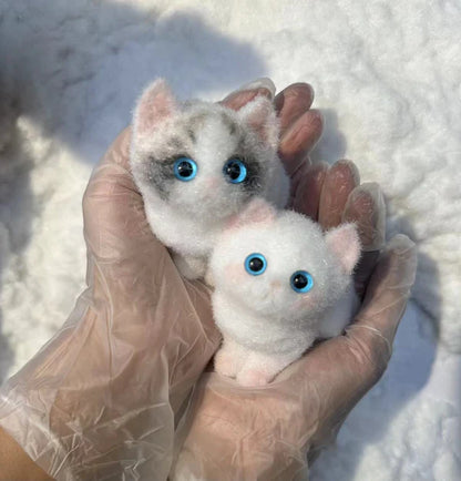 C02-Pretty Blue-eyed Ragdoll Kitten