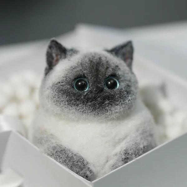 A03-Super Cute Special Siamese Chubby Squishy Kitty