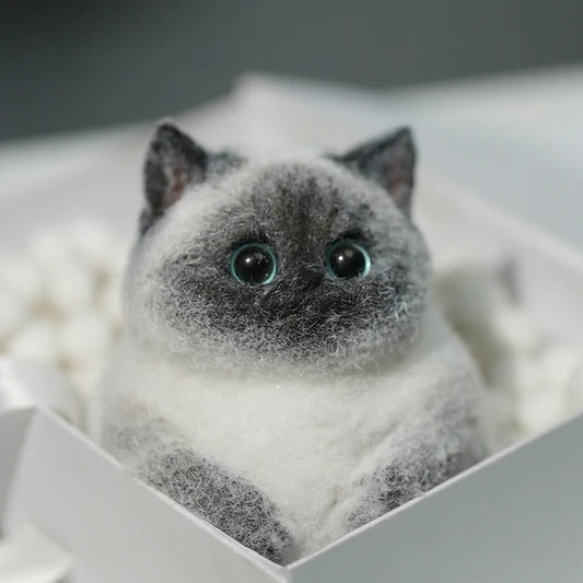 A03-Super Cute Special Siamese Chubby Squishy Kitty