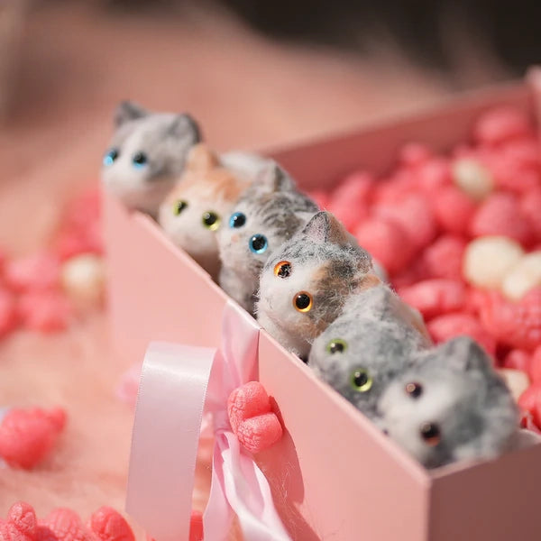 C03-Six Cute Kittens Family