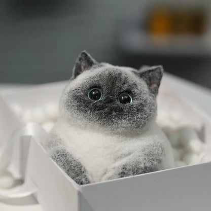 A03-Super Cute Special Siamese Chubby Squishy Kitty