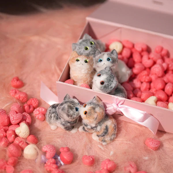 C03-Six Cute Kittens Family