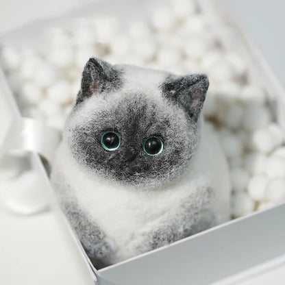 A03-Super Cute Special Siamese Chubby Squishy Kitty