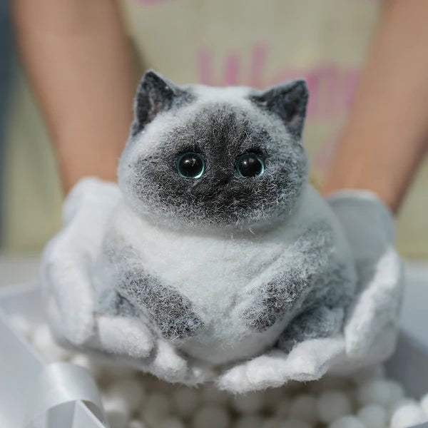A03-Super Cute Special Siamese Chubby Squishy Kitty