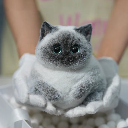 A03-Super Cute Special Siamese Chubby Squishy Kitty