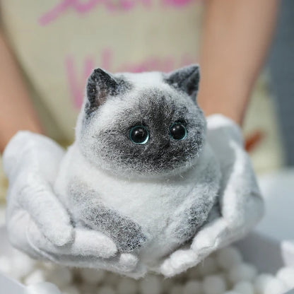 A03-Super Cute Special Siamese Chubby Squishy Kitty