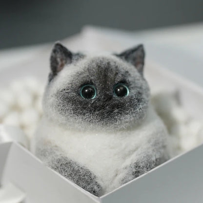 A03-Super Cute Special Siamese Chubby Squishy Kitty