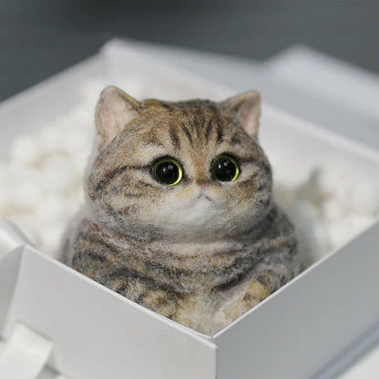 A05-Chubby Yellow-Green Raccoon Cat