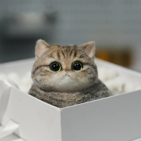 A05-Chubby Yellow-Green Raccoon Cat