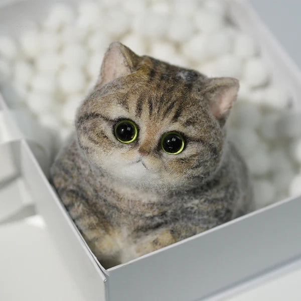 A05-Chubby Yellow-Green Raccoon Cat
