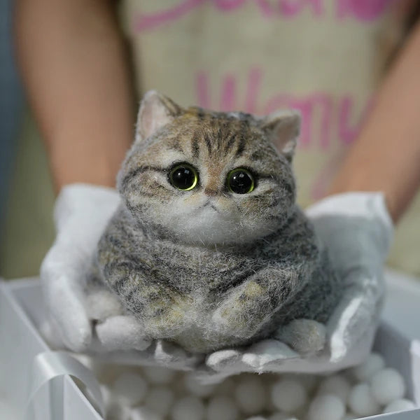 A05-Chubby Yellow-Green Raccoon Cat