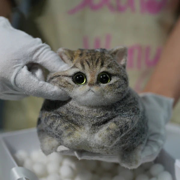 A05-Chubby Yellow-Green Raccoon Cat