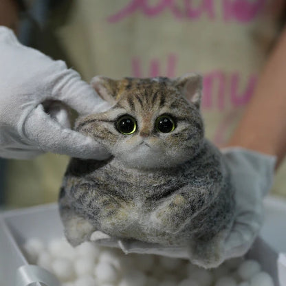 A05-Chubby Yellow-Green Raccoon Cat