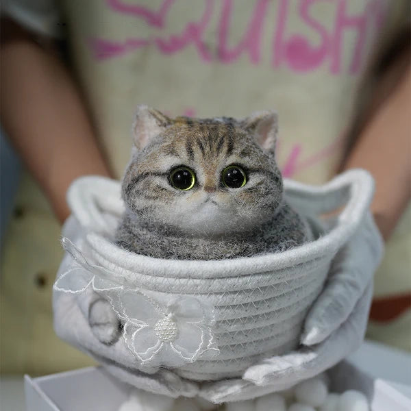 A05-Chubby Yellow-Green Raccoon Cat